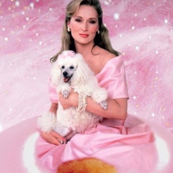 Meet your Posher, Kayla - Picture 1 of 1